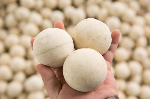 <a href='http://zzywzg.cn/ml/71.html' target='_blank'><u>高鋁蓄熱球生產(chǎn)廠家</u></a>