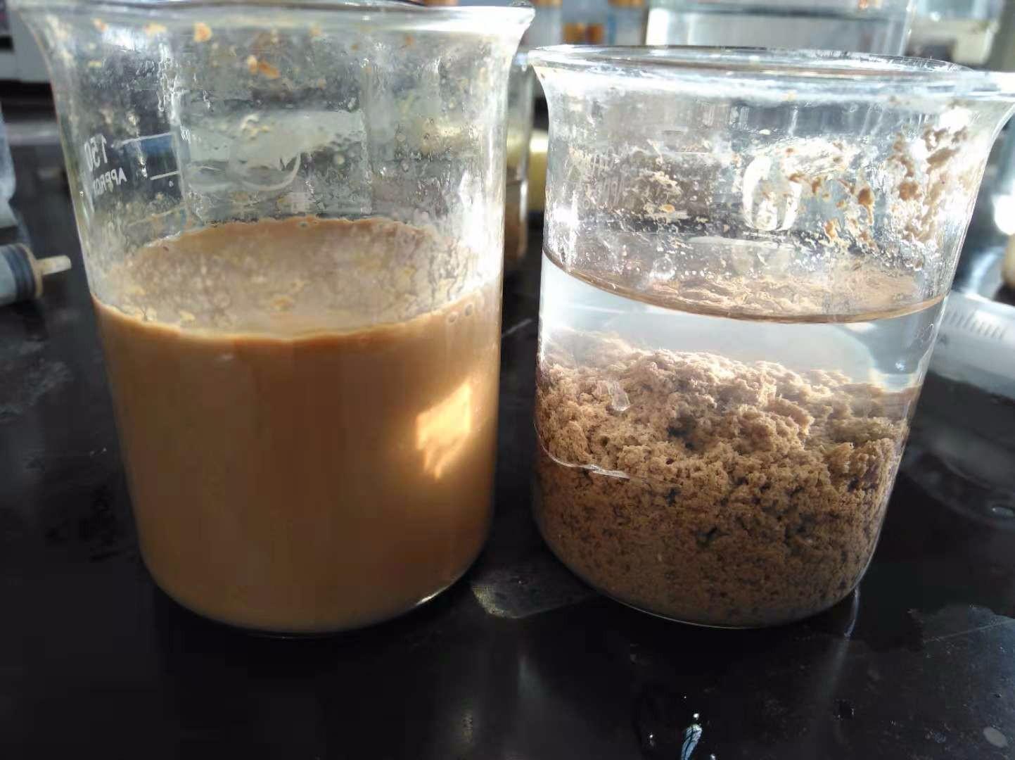 <a href='http://zzywzg.cn/jsyj/992.html' target='_blank'><u>非離子聚丙烯酰胺生產(chǎn)廠家</u></a>