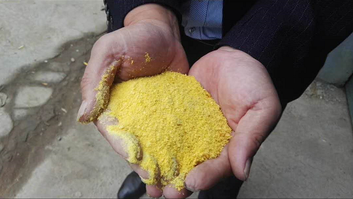 ۺȻXa(chn)S|ۺȻXr(ji)|ۺȻX(yng)