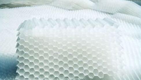 食品加工廠的污水處理<a href='http://zzywzg.cn/jstl/60.html' target='_blank'><u>蜂窩斜管填料生產(chǎn)廠家</u></a>